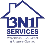 3N1 Services logo